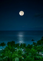 Waikiki-1