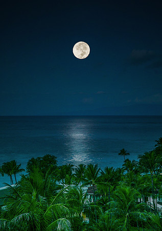 Waikiki-1