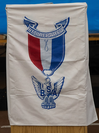 Violet-Eagle-2