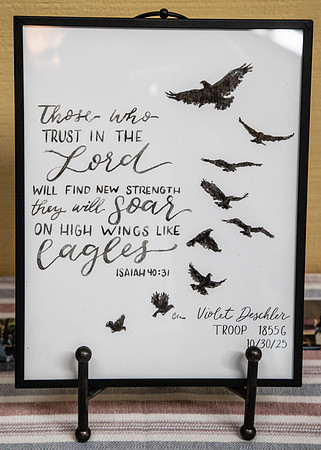 Violet-Eagle-47